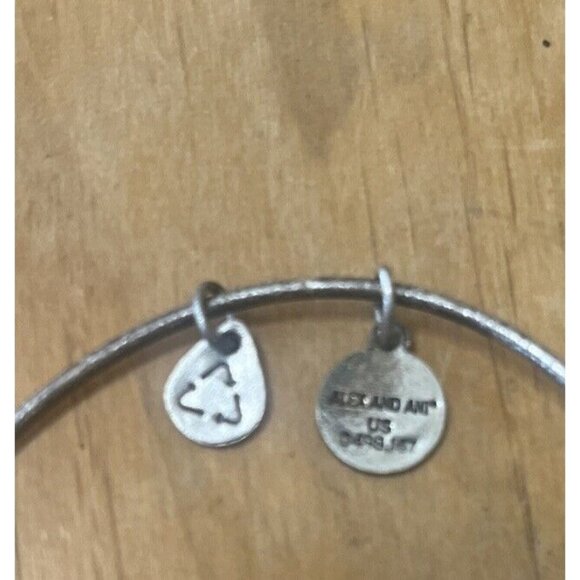 Alex And Ani Aunt  Admiration Connection Expandable Wire Bangle Rafaelian Silver - Picture 9 of 9